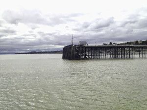 View of Penarth Pier landing stages from the sea